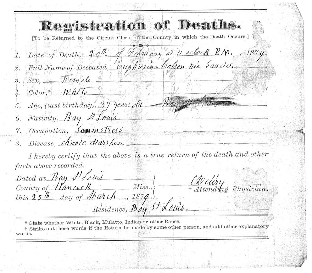 Vertical Files Deaths And Births 1879 To 1880 Deaths(02) Hancock